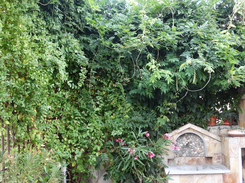 Guest House Ivel 사파레바바냐 외부 사진