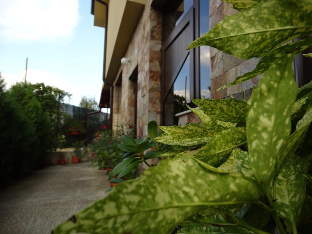 Guest House Ivel 사파레바바냐 외부 사진