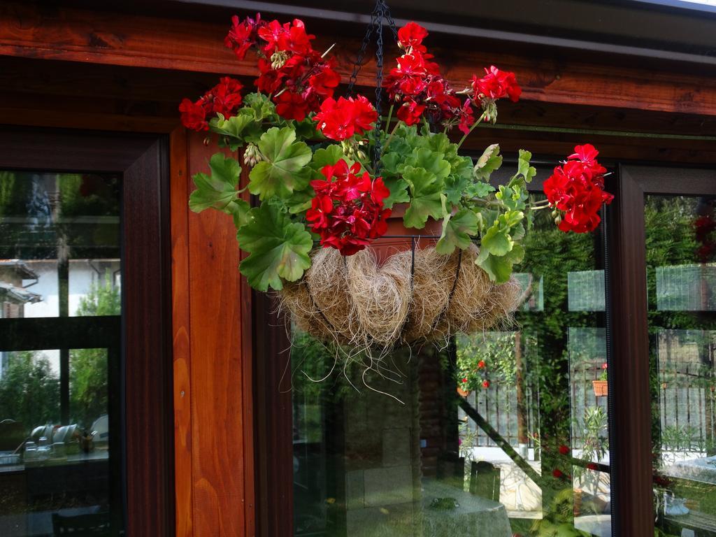 Guest House Ivel 사파레바바냐 외부 사진